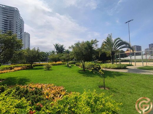 토지 / 리우데자네이루, Rio de Janeiro