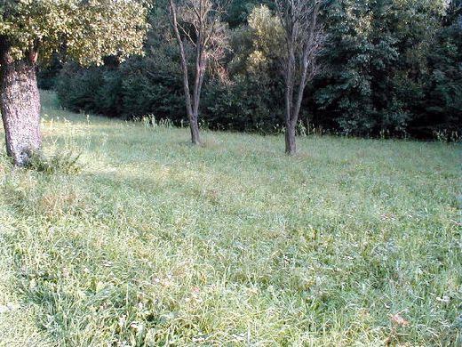 Terrain à Altlengbach, Politischer Bezirk Sankt Pölten