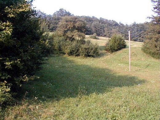 ‏קרקע ב  Altlengbach, Politischer Bezirk Sankt Pölten