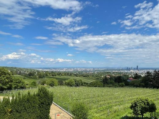 ウィーン
, Wien Stadtの高級住宅