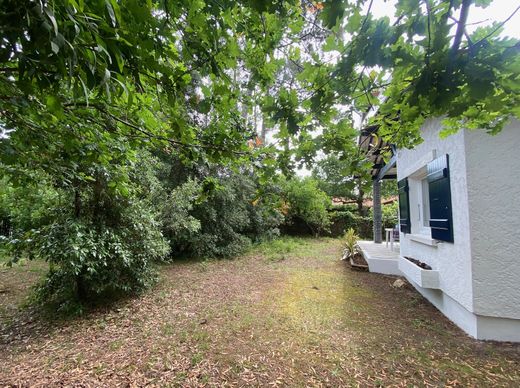 Lège-Cap-Ferret, Girondeの高級住宅