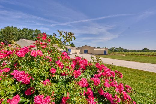 Luxury home in Bégadan, Gironde