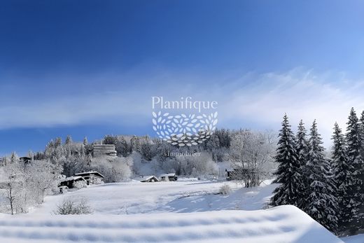 Двухуровневые апартаменты, Межев, Haute-Savoie