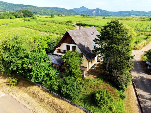 Maison de luxe à Zellenberg, Haut-Rhin