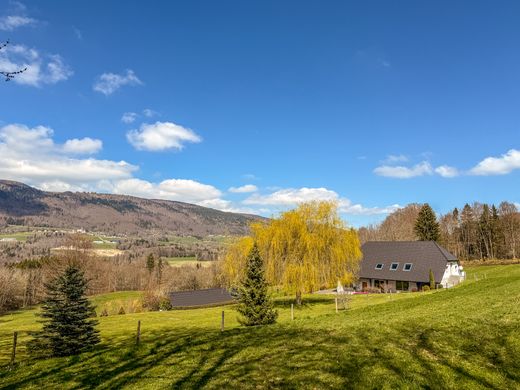 豪宅  Menthonnex-en-Bornes, Haute-Savoie