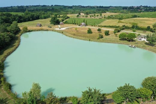 Berson, Girondeの高級住宅