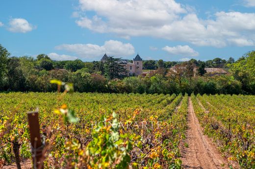 城堡  Laure-Minervois, Aude