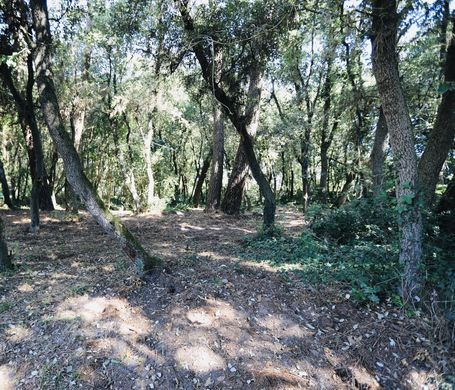 Αγροτεμάχιο σε Les Sables-d'Olonne, Vendée