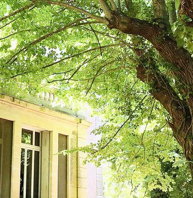 Castello a Aigues-Mortes, Gard