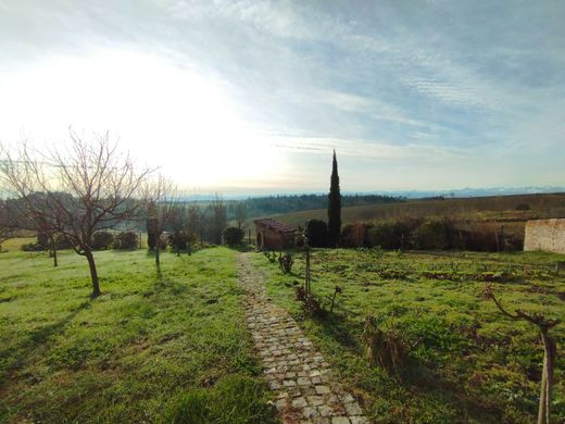 전원/농가 / Auterive, Upper Garonne