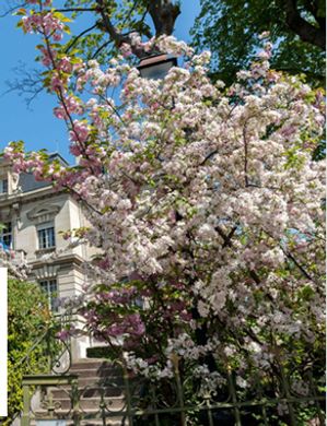 Appartamento a Vanves, Hauts-de-Seine