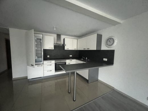 Casa de lujo en Brunstatt, Alto Rin