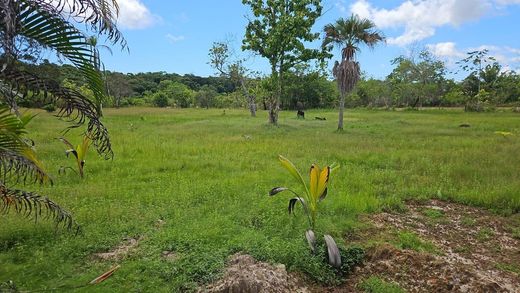 Terreno en Montsinéry-Tonnegrande, Arrondissement de Cayenne