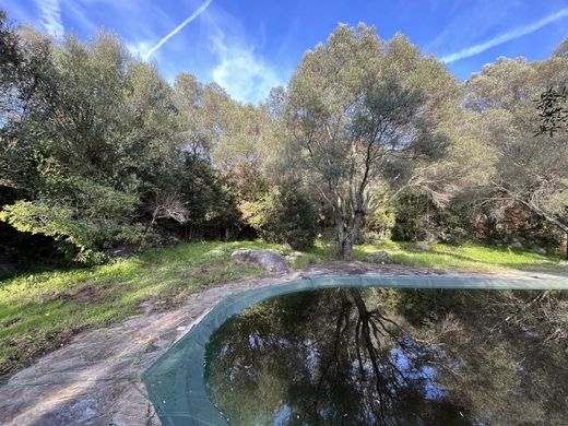 Teren w Figari, South Corsica