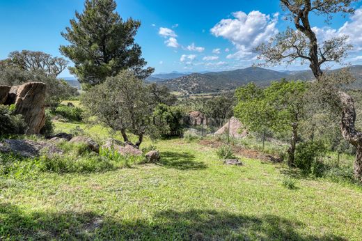 Terreno en Bormes-les-Mimosas, Var