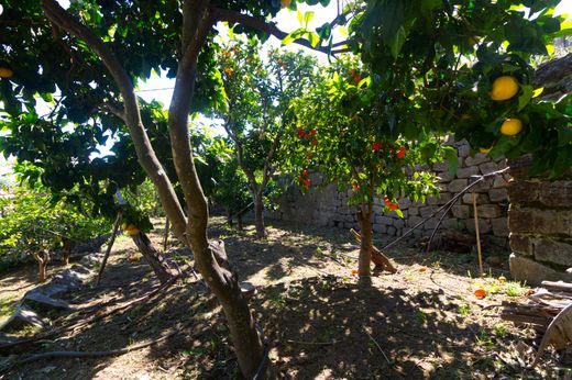 Villa - Ajaccio, Córsega do Sul