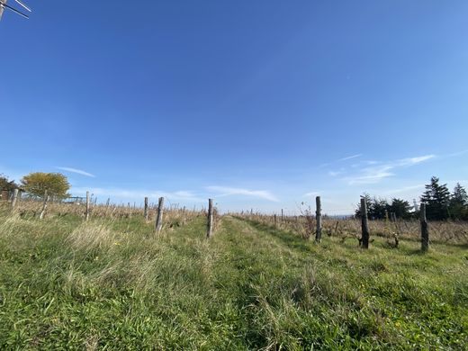 Land in Dardilly, Rhône