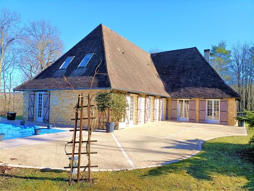 Πολυτελή κατοικία σε Valojoulx, Dordogne