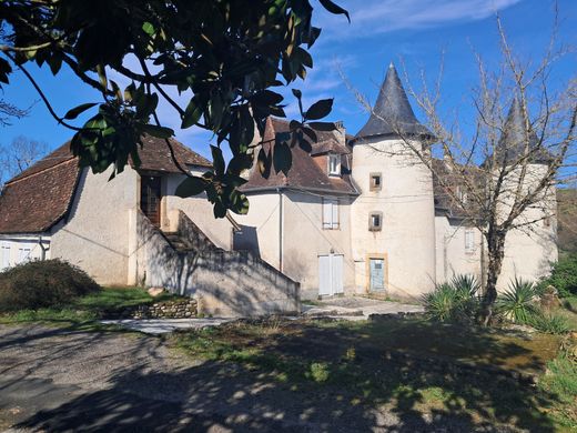 Luxury home in Gagnac-sur-Cère, Lot