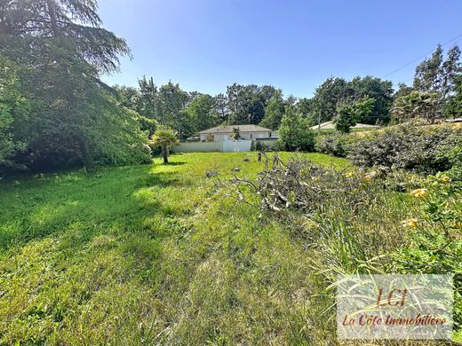 Luxury home in Cazaux, Gironde