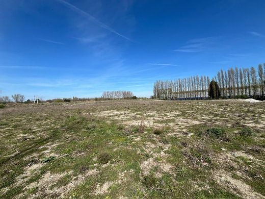 Arsa Dunkerque, North