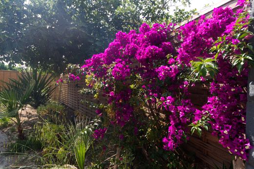 Βίλα σε Ajaccio, South Corsica