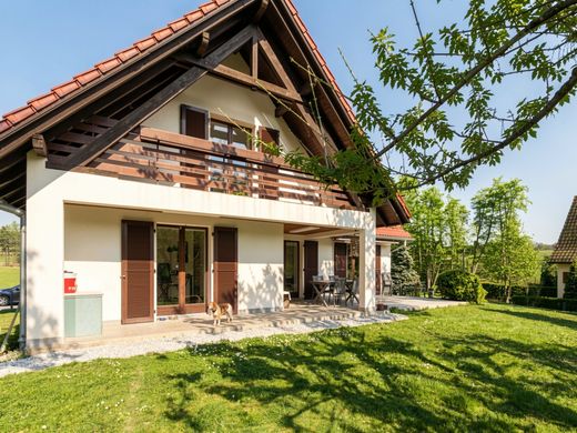 Luxury home in Leymen, Haut-Rhin