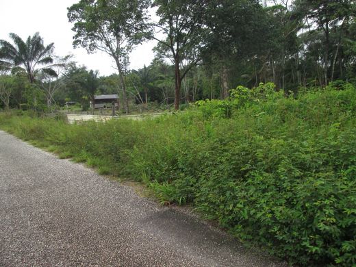 Terrain à Tonate, Arrondissement de Cayenne