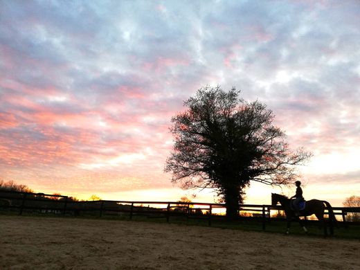 Luxus-Haus in Grenade-sur-l'Adour, Landes