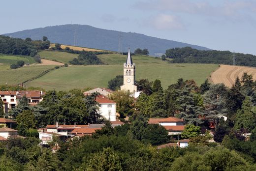 Luxury home in Lentilly, Rhône