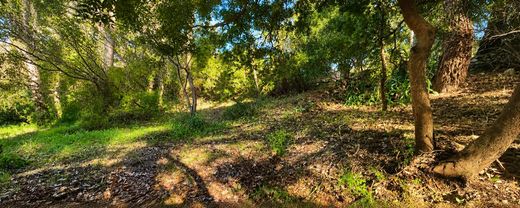 Land in Saint-Paul-de-Vence, Alpes-Maritimes
