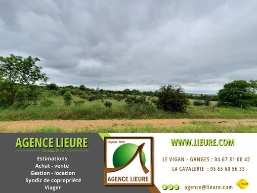 토지 / La Cavalerie, Aveyron