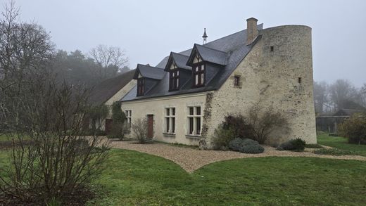 Château à Villefranche-sur-Cher, Loir-et-Cher