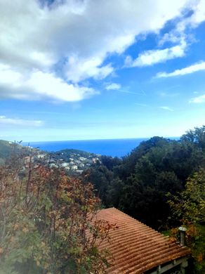 호화 저택 / Brando, Upper Corsica