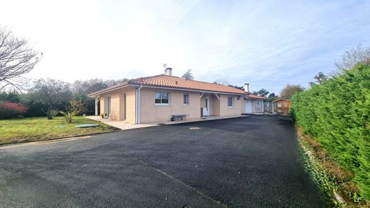 Luxus-Haus in Tarnos, Landes