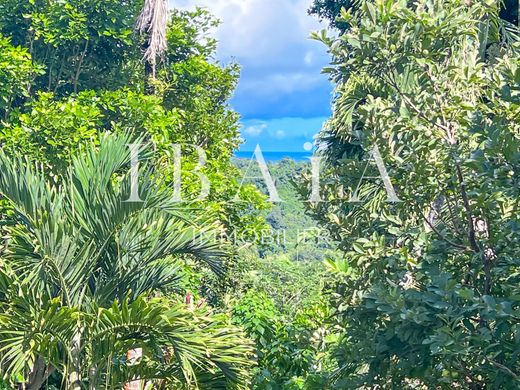 토지 / Petit-Bourg, Guadeloupe