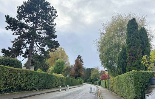 Luxury home in Croix, North