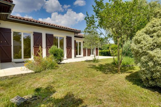 호화 저택 / Léognan, Gironde