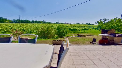 豪宅  Vire-sur-Lot, Lot