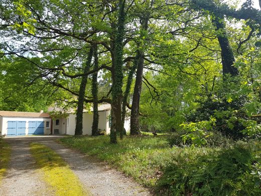 Luxury home in Sainte-Pazanne, Loire-Atlantique