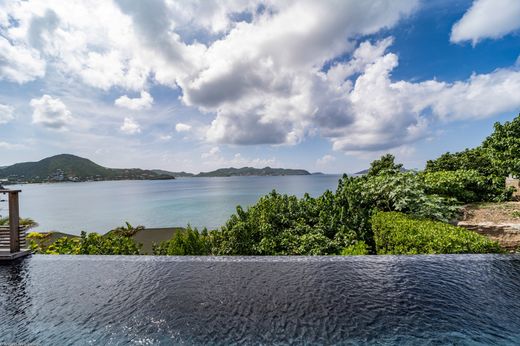 别墅  Pointe Milou