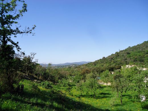 Arsa Grimaud, Var