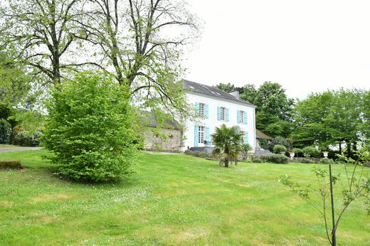 Casa di lusso a Bourg de Joué-sur-Erdre, Loira Atlantica