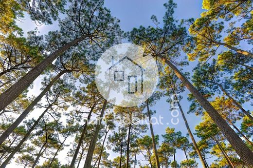 Αγροτεμάχιο σε Labenne, Landes