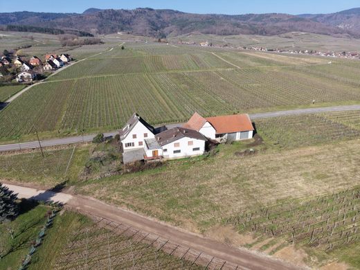 Casa de luxo - Zellenberg, Alto Reno