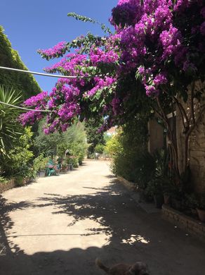 ‏בתי יוקרה ב  Milhaud, Gard