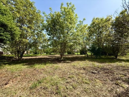 Участок, Sélestat, Bas-Rhin