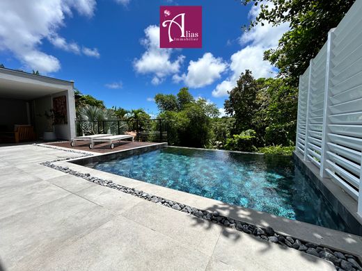 호화 저택 / Petit-Bourg, Guadeloupe