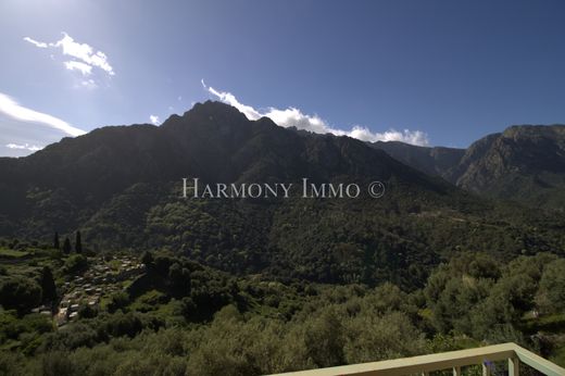 Maison de luxe à Ota, Corse-du-Sud