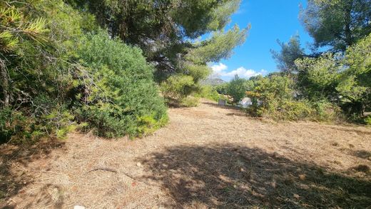 ‏קרקע ב  Carqueiranne, Var